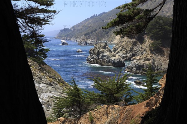 View through trees to a rugged coastal landscape with clear sky, Big Sur Pfeiffer, US 1, North America, USA, South-West, California, California, North America