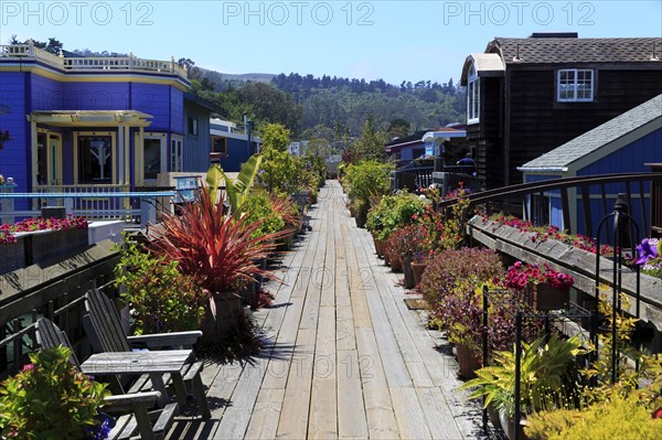 A sun-drenched jetty surrounded by floating houses with green vegetation and flowers, San Francisco, North America, USA, South-West, California, California, North America