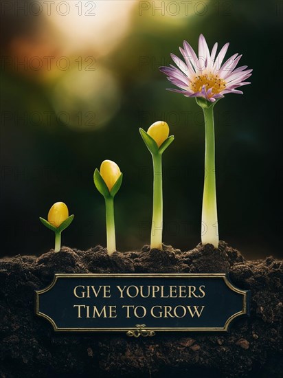 Flower growing stages with inspirational quote and a typo error, AI generated