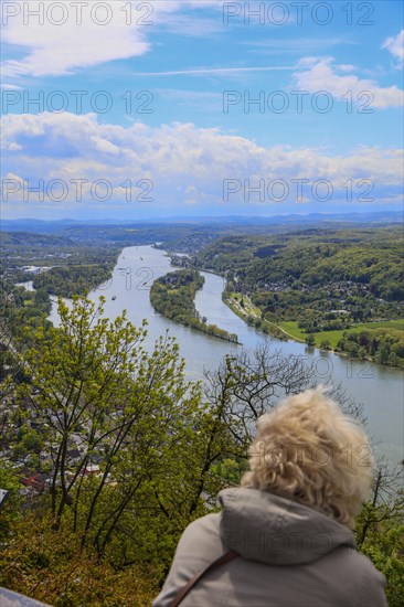 View from the Drachenfels, mountain in the Siebengebirge to the Rhine with Nennenwerth Island between Koenigswinter and Bad Honnef, North Rhine-Westphalia, Germany, Europe