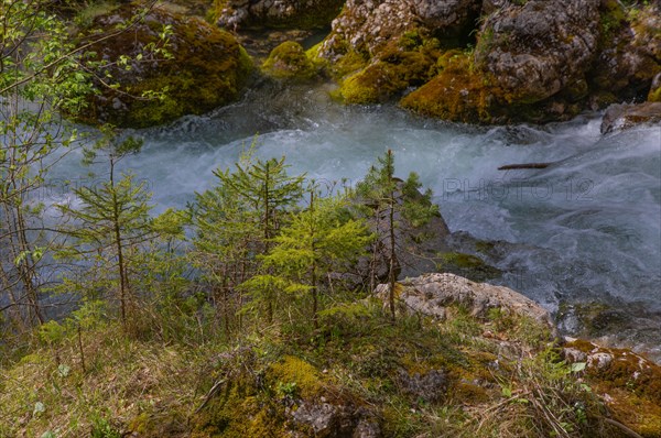 White water, Pinzgau, Stoissengraben