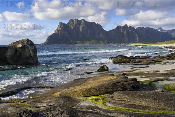 Seascape on the beach at Uttakleiv (Utakleiv), rocks and green seaweed in the foreground. In the background the mountain Hogskolmen. Good weather, blue sky with some clouds. Early summer. Uttakleiv, Vestvagoya, Lofoten, Norway, Europe