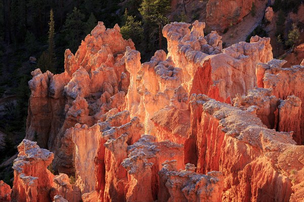 The first rays of the day illuminate the rock formations, Bryce Canyon National Park, North America, USA, South-West, Utah, North America