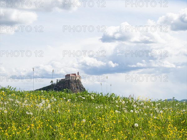 Flower meadow, behind Riegersburg, Styrian volcanic region, Styria, Austria, Europe