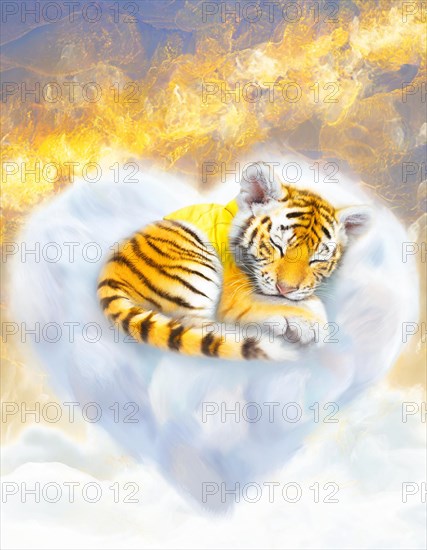 Peaceful portrayal of a sleeping tiger cub, surrounded by billowy clouds and a gentle golden light, AI generated