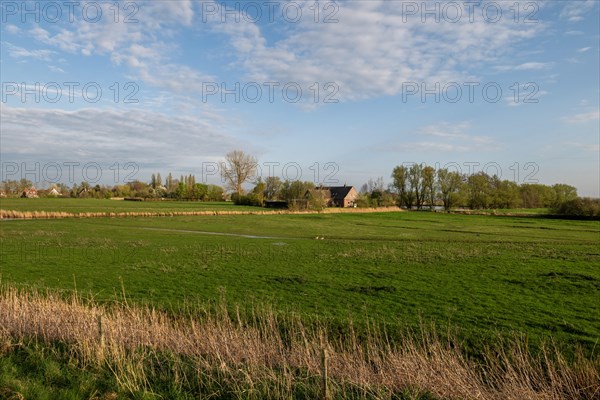 Farmstead in secluded location, landscape near the village of Pogum, municipality of Jemgum, district of Leer, Rheiderland, East Frisia, Lower Saxony, Germany, Europe, Panorama, Europe
