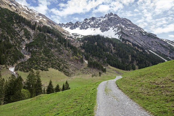 Hiking trail through green meadows, behind Geisshorn, Gemsteltal, Mittelberg, Kleinwalsertal, Vorarlberg, Allgaeu Alps, Austria, Europe