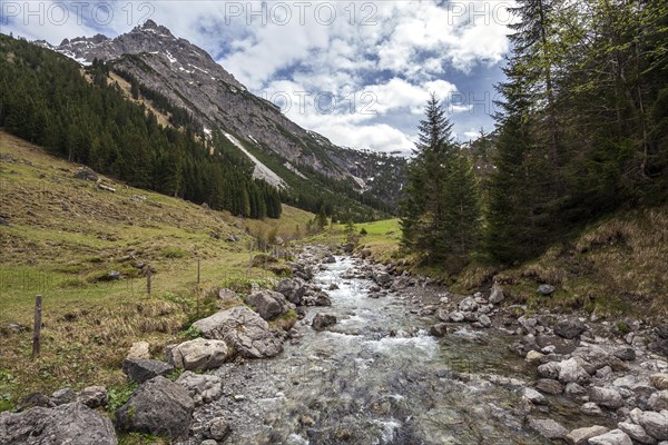 Gemstelbach, behind Geisshorn, Gemsteltal, Mittelberg, Kleinwalsertal, Vorarlberg, Allgaeu Alps, Austria, Europe