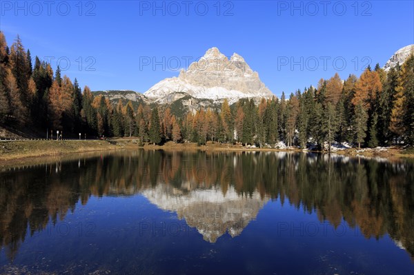 Calm water surface of a lake in the midst of autumnal forests reflects a mountain, Italy, South Tyrol, Belluno, Dolomites, Lago d'Antorno against Cadini, Misurina, Sesto Dolomites, Veneto, Europe