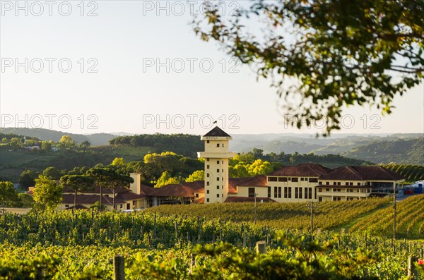 Bento Golcalves, Brasil, April 07, 2017: Luxury Winery, Vineyard of grapes in the Vale dos Vinhedos in Bento Goncalves, a gaucho wine