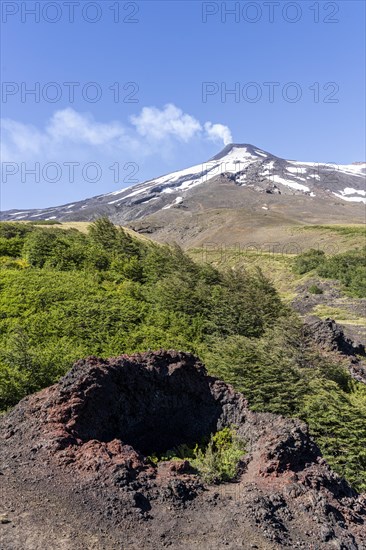 Traces of a gas eruption beneath cooling lava, Villarrica Volcano, Villarrica National Park, Araucania, Chile, South America