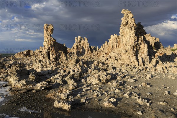 Tufa formations rise on the shore of a lake, illuminated by evening light, Mono Lake, North America, USA, South-West, California, California, North America