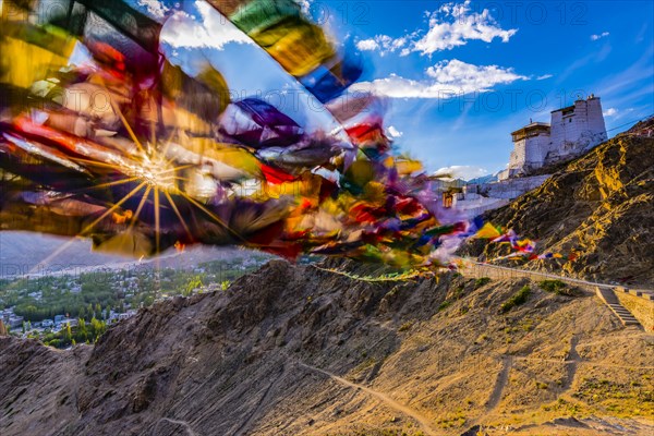 Namgyal Tsemo Gompa Monastery, Tsenmo Hills, Leh, Ladakh, Jammu and Kashmir, India, Asia