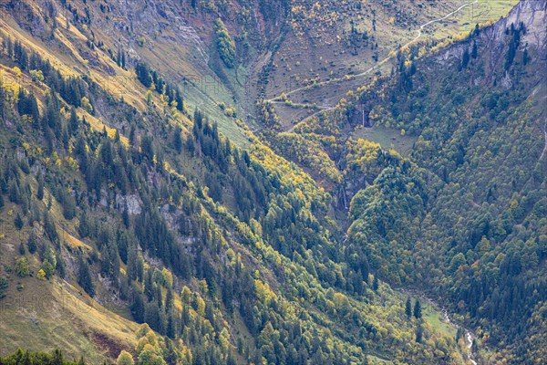 Mountain panorama from the Laufbacher-Eckweg into the Oytal, Allgaeu Alps, Allgaeu, Bavaria, Germany, Europe