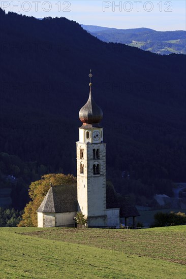 Small church with white tower in front of wooded hills and blue sky, Italy, Trentino-Alto Adige, Alto Adige, Bolzano province, Dolomites, Alpe di Siusi, Church St.Valentino, Europe