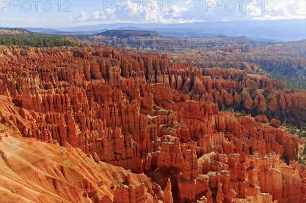 Impressive panorama of a vast red rock landscape, Bryce Canyon National Park, North America, USA, South-West, Utah, North America