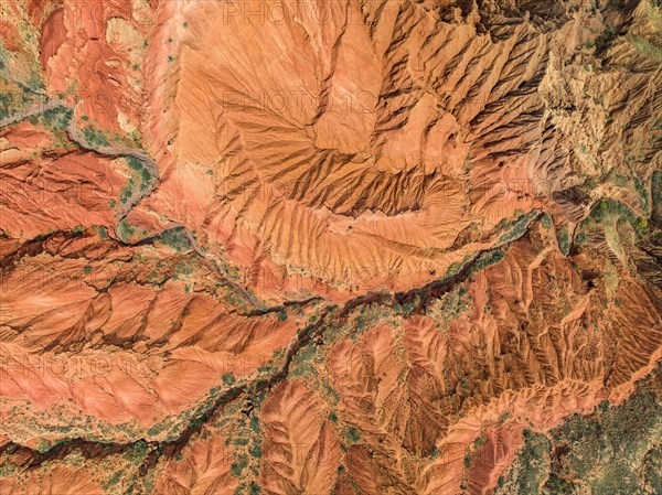Top Down View, Badlands, canyon with eroded red sandstone rocks, Konorchek Canyon, Boom Gorge, aerial view, Kyrgyzstan, Asia