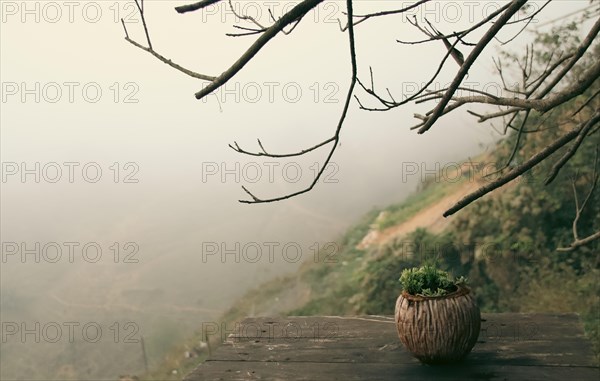 A tranquil misty landscape viewed from a wooden ledge with bare branches