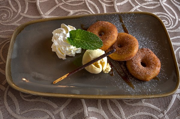 Apple cakes with vanilla ice cream served in a pub, Franconia, Bavaria, Germany, Europe