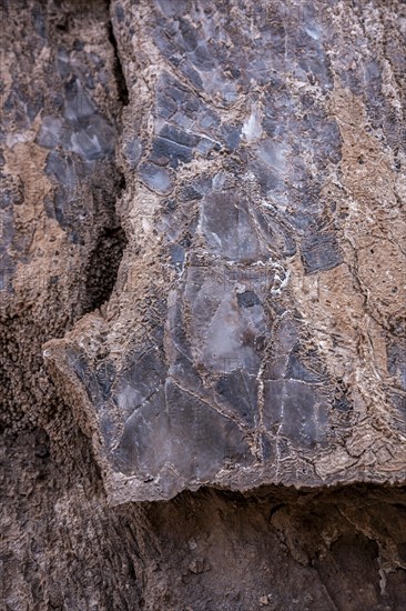 Salt crystals bound in rock, Valle de la Luna, San Pedro de Atacama, Antofagasta, Chile, South America