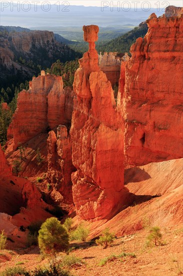 A striking rock tower rises up, surrounded by green vegetation and vast shadows, Bryce Canyon National Park, North America, USA, South-West, Utah, North America