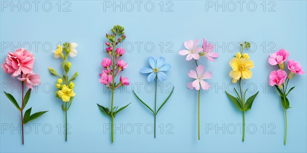 Summer flowers in a row on blue background. KI generiert, generiert, AI generated