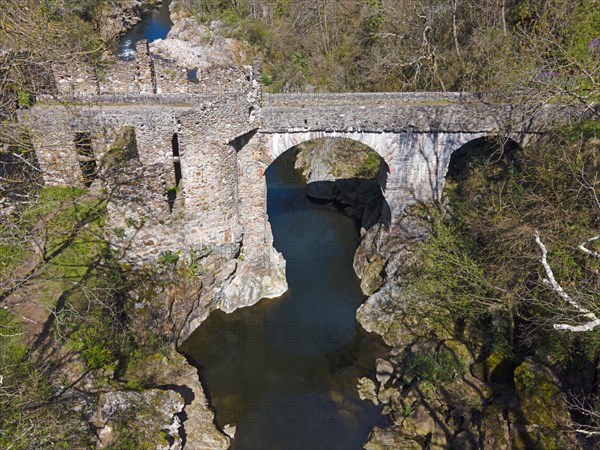 Historic bridge with an arch over a river, embedded in a natural landscape, Bridge of the Devil, Pont de Diable, Romanesque stone bridge, Ariege river, Montoulieu, Ariege, France, Europe