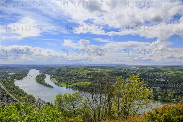 View from the Drachenfels, mountain in the Siebengebirge to the Rhine with Nennenwerth Island between Koenigswinter and Bad Honnef, North Rhine-Westphalia, Germany, Europe