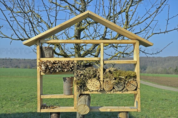Nesting aid for wild bees and other insects with wood and elder stems, wild bee nesting aid, insect nesting aid, insect hotel