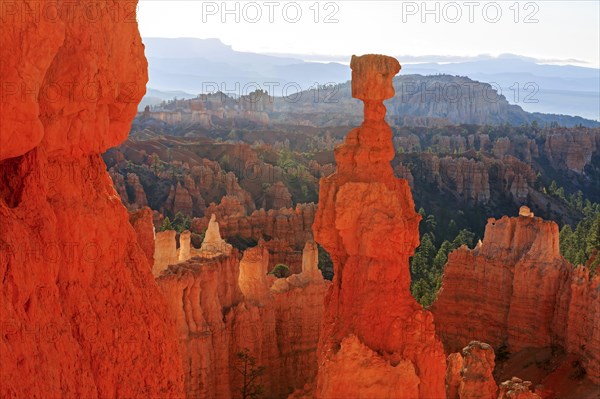 A striking hoodoo towers over a formation of rock towers, Thor's hammer, Bryce Canyon National Park, North America, USA, South-West, Utah, North America