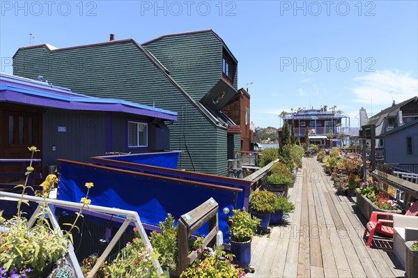 Houses on the water reached by a long wooden walkway with many green plants, San Francisco, North America, USA, South-West, California, California, North America