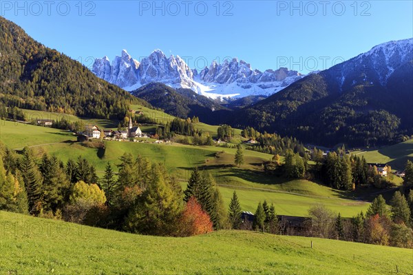 Autumn forests with green meadows and snow-capped Dolomites in the background, Italy, Trentino-Alto Adige, Alto Adige, Bolzano province, Dolomites, Santa Magdalena, St. Maddalena, Funes Valley, Odle, Puez-Geisler Nature Park in autumn, Europe