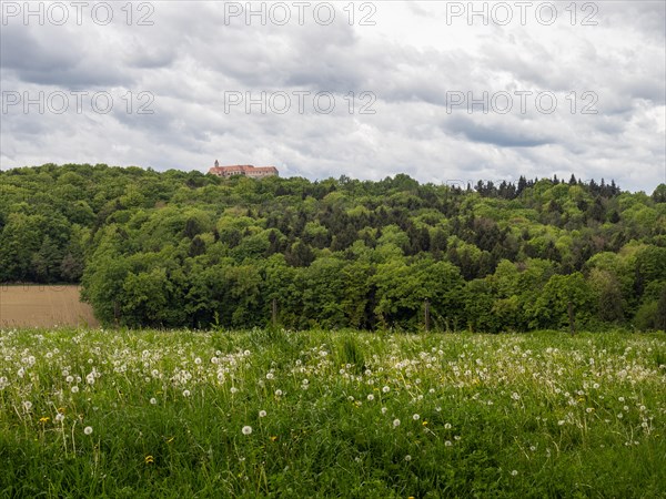 Meadow and forest edge, arable land, Riegersburg Castle in the background, near Riegersburg, Styrian volcanic region, Styria, Austria, Europe