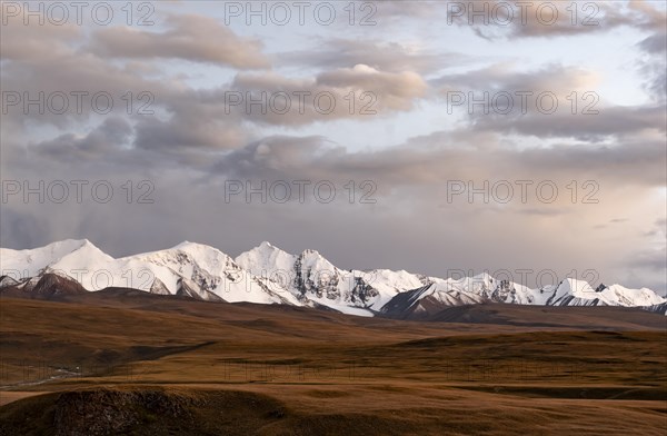 Glaciated and snow-covered mountains in the evening light, autumnal mountain landscape with yellow grass, Tian Shan, Sky Mountains, Sary Jaz Valley, Kyrgyzstan, Asia