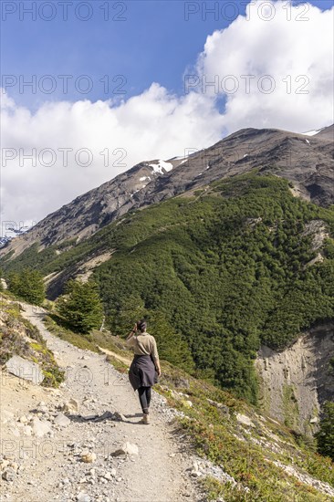 Young women hikes along Ascencio valley, Base of Torres del Paine Hike, Torres de Paine, Magallanes and Chilean Antarctica, Chile, South America