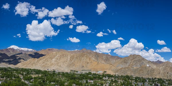 The Namgyal Tsemo Gompa monastery on Tsenmo Hill, a viewpoint over Leh, Ladakh, Jammu and Kashmir, India, Asia