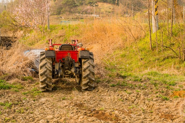 Rear view of red tractor parked at edge of field with cherry blossom tree in background in South Korea