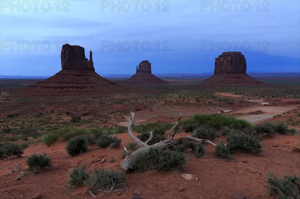 The rock formations of the desert rise majestically in the blue hour under a wide sky, Monument Valley, West Mitten Lefteye flounder, East Mitten Lefteye flounder, Merrick Lefteye flounder, North America, USA, South-West, Utah, North America