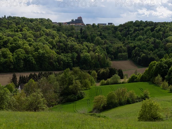 Meadow and forest, behind Riegersburg, Styrian volcanic region, Styria, Austria, Europe