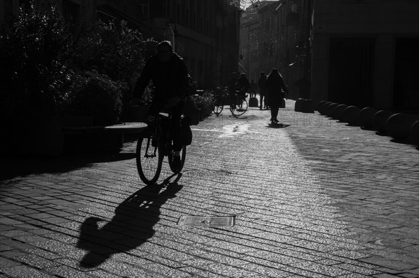 Ravenna landscape, street, italy