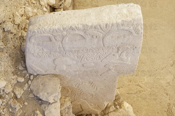 Gobekli Tepe neolithic archaeological site dating from 10 millennium BC, Massive stone pillars with sculptural relief of wild animals, Potbelly Hill, Sanliurfa, Turkey, Asia