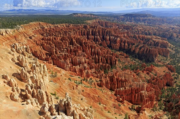 Wide panorama over a deeply eroded red rock landscape, Bryce Canyon National Park, North America, USA, South-West, Utah, North America