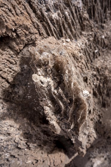 Salt structures, Valle de la Luna, San Pedro de Atacama, Antofagasta, Chile, South America