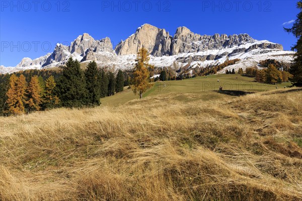 Autumn mountain scenery with dry grass and snow-covered peaks, Italy, Alto Adige, Bolzano province, Dolomites, rose garden, Europe