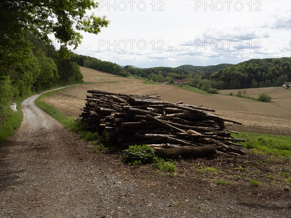 Woodpile, field path at the edge of the forest leads through arable land, agricultural land, near Riegersburg, Styrian volcanic region, Styria, Austria, Europe