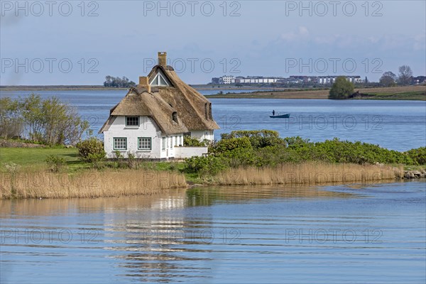 Thatched roof house, boat, herring fishing, Rabelsund, Rabel, Schlei, Schleswig-Holstein, Germany, Europe