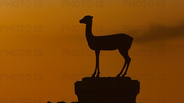 Silhouette of an animal statue in front of an orange-red sky at sunset, European roe deer statue, twilight, Mandraki harbour, Rhodes, Dodecanese, Greek Islands, Greece, Europe