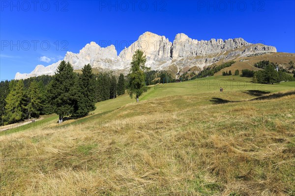 Wide valley with green meadows in front of an imposing mountain range under a blue sky, Italy, Alto Adige, Bolzano province, Dolomites, rose garden, Europe