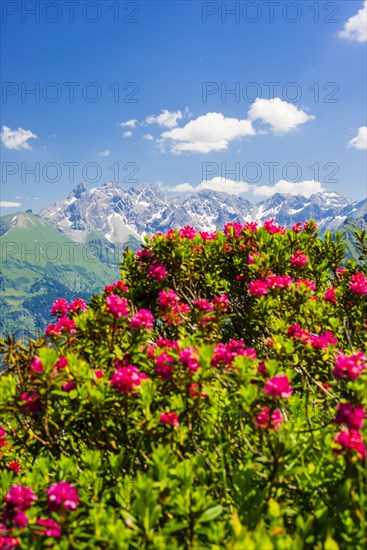 Panorama from Fellhorn, central main ridge of the Allgaeu Alps, Allgaeu, Bavaria, Germany, Europe