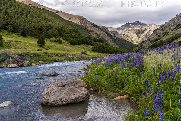 Mountain range along the Rio Blanco, Carretera Austral, Aysen, Chile, South America